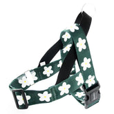 Golden Retriever Labrador Vest-style Dog Leash | golden-retriever-labrador-vest-style-adult-dog-leash